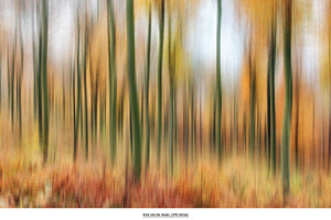 FotoKunst75 - The new way of Art